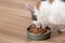 Cat eats from a bowl of dry food