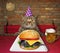 Cat eats mouse burger in restaurant