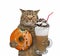 Cat eats orange donut with cappuccino 3