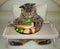 Cat eats stuffed fish from a bed tray