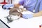 Cat on examination table of veterinarian clinic. Veterinary care. Vet doctor and cat