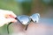 Cat eye sunglasses model hold by hand shoot in a summer day closeup. Selective focus
