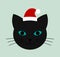 Cat face with blue eyes and Santa hat icon