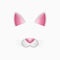 Cat face elements - ears and nose. Selfie photo and video chat filter with cartoon animals mask. Vector.