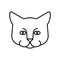 Cat face linear Style. Home pet Vector illustration