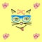 Cat face that smiles. pet in hipster glasses