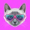 Cat face with trendy stylish fashionable eyeglasses shaped like hearts