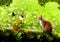 A cat in the fantasy world stands on a tree trunk with a butterfly against a backdrop of green pastures with flowers and fresh