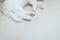 Cat feet scottish white fluffy cute little animal,Closeup