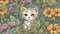 cat and flowers A playful kitten with a cheeky smile, camouflaged among soft, muted garden flowers,