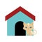cat fluffy animal colored house
