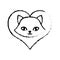 Cat fluffy lovely animal love sketch