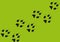 Cat footprints. Cats or dogs travel footprints. Black domestic animals paw prints isolated on green background