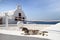 Cat in front of classical church in Santorini