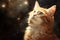 Cat gazes stars, whiskers, window, domestic event, fur