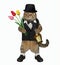 Cat gentleman with rum and tulips