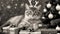 cat with gift black and white black and white photo A comical kitten wearing reindeer antlers, perched atop a pile of gift-wrapped