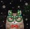 Cat ginger in Christmas mask at night