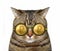 Cat in gold ruble glasses