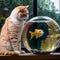 A cat and a goldfish in an aquarium on the windowsill, a fish with a cat\\\'s head,