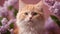 cat on the grass gallant red kitten with a soft, fluffy coat, posing elegantly beside a bouquet of fragrant lilacs,