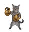 Cat gray athlete lifts golden kettlebells