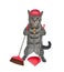 Cat gray with broom and dustpan