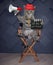 Cat gray director on chair makes movie