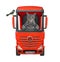 Cat gray drives big red truck