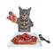 Cat gray eating slices of raw meat