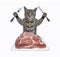 Cat gray eats raw meat on plate