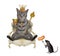 Cat gray with goblet on throne 2