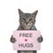 Cat gray holds poster that says free hugs
