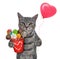 Cat gray holds red pail with sweets