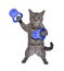 Cat gray lifts blue kettlebells