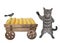 Cat gray near cart with ears of corn