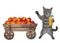 Cat gray near cart with peaches