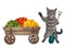 Cat gray near cart with vegetables