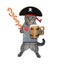 Cat gray pirate drinks beer