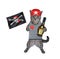 Cat gray pirate drinks rum 3