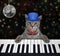 Cat gray plays piano in nightclub