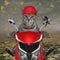 Cat gray with rat rides red moped 2