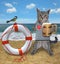 Cat gray sailor stands near lifebuoy