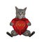 Cat gray sits with heart ruby