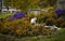 cat with gray spots is sitting on a bed of colorful flowers