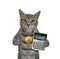 Cat gray wears bitcoin locket 2