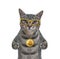 Cat gray wears bitcoin locket