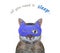 Cat gray wears blue sleep mask