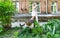 Cat in a green grass against the background of the kissing young couple in the city yard