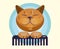 Cat  grooming. Haircut, combing and grooming pets